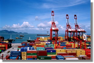 揚州到番禺集裝箱海運物流運輸服務與運輸代理